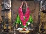 His Holiness 11th Pathinensiddhar Peedam
